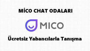 Mico Chat