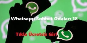 Whatsapp Sohbet Odaları 18